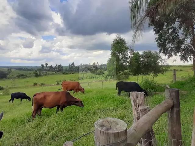 Sítio e chácara venda em Região Imediata de Campinas, Região Metropolitana de Campinas