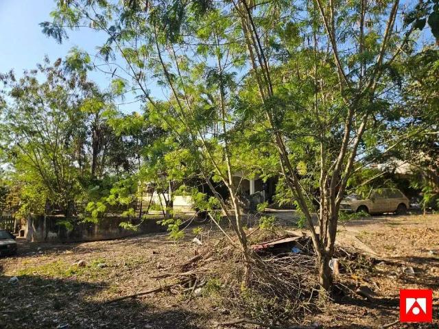 Sítio e chácara venda em Região Imediata de Campinas, Região Metropolitana de Campinas