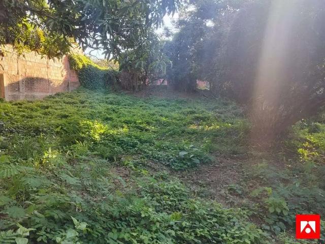 Sítio e chácara venda em Região Imediata de Campinas, Região Metropolitana de Campinas