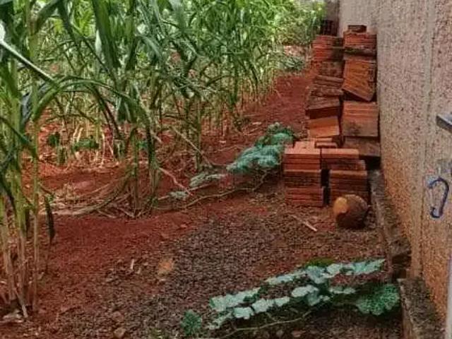Sítio e chácara venda em Região Imediata de Campinas, Região Metropolitana de Campinas