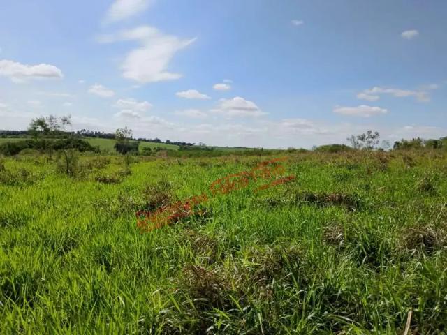 Sítio e chácara venda em Região Imediata de Campinas, Região Metropolitana de Campinas