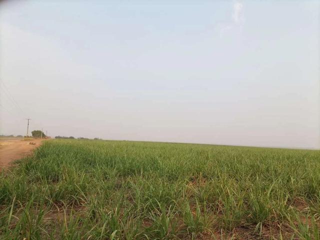 Sítio e chácara venda em Região Imediata de Campinas, Região Metropolitana de Campinas