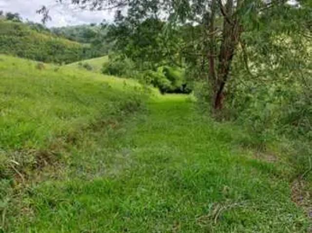 Sítio e chácara venda em Santa Branca