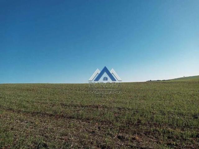 Sítio e chácara venda em Região Geográfica Imediata de Cornélio Procópio-Bandeirantes, Santa Cecília do Pavão