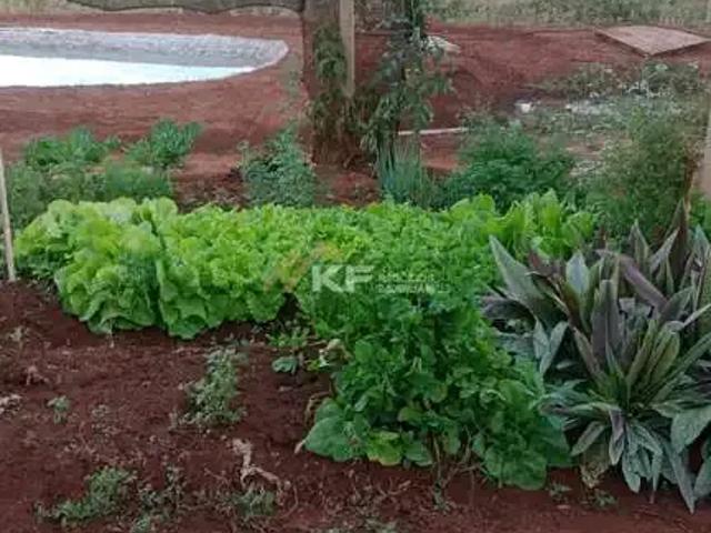 Sítio e chácara venda em Região Imediata de Ribeirão Preto, Região Metropolitana de Ribeirão Preto
