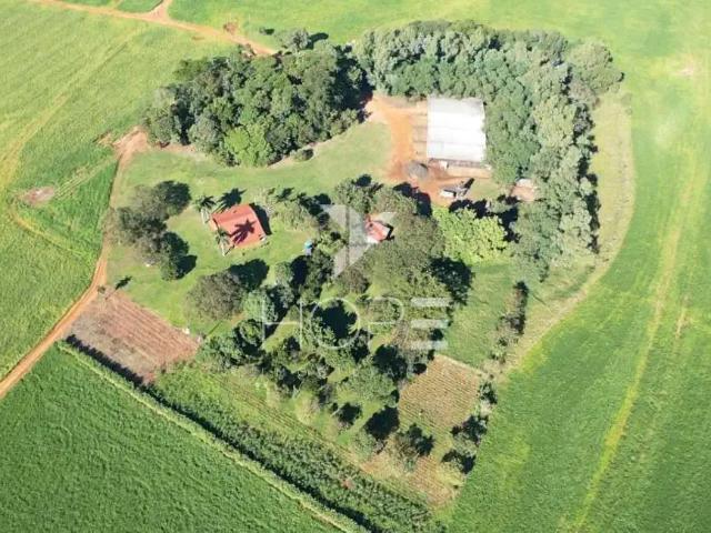 Sítio e chácara venda em Região Geográfica Imediata de Loanda, Querência do Norte