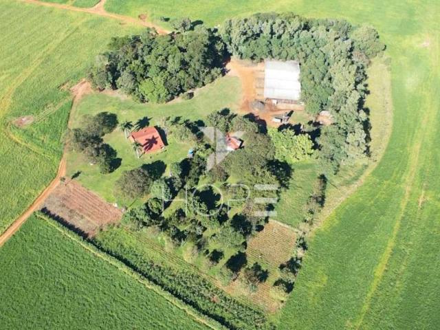 Sítio e chácara venda em Santa Cruz de Monte Castelo, Região Geográfica Intermediária de Maringá