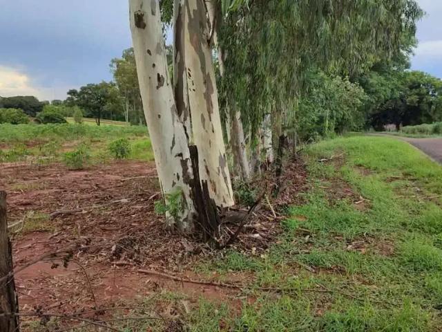 Sítio e chácara venda em Região Geográfica Imediata de Loanda, Santa Cruz de Monte Castelo