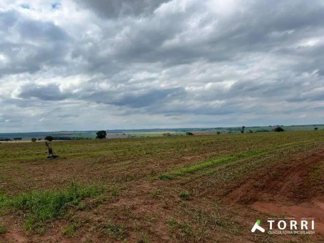 Sítio e chácara venda em Região Imediata de Ourinhos, Santa Cruz do Rio Pardo