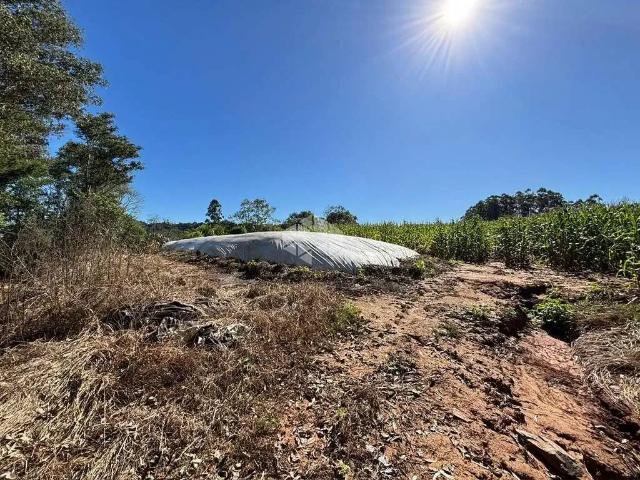 Sítio e chácara venda em Região Geográfica Imediata de Santa Cruz do Sul, Santa Cruz do Sul
