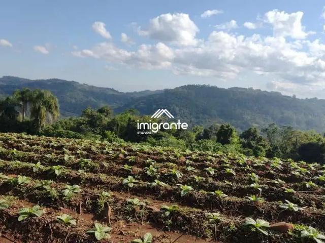 Sítio e chácara venda em Região Geográfica Imediata de Santa Cruz do Sul, Santa Cruz do Sul