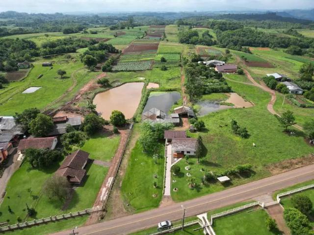 Sítio e chácara venda em Região Geográfica Imediata de Santa Cruz do Sul, Santa Cruz do Sul