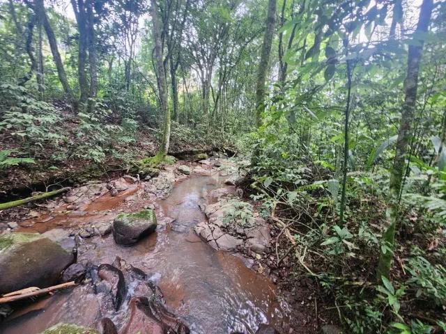 Sítio e chácara venda em Região Geográfica Imediata de Santa Cruz do Sul, Santa Cruz do Sul