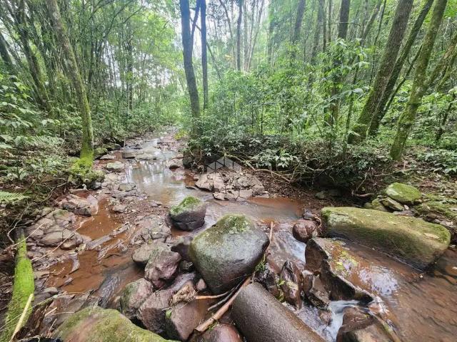 Sítio e chácara venda em Região Geográfica Imediata de Santa Cruz do Sul, Santa Cruz do Sul