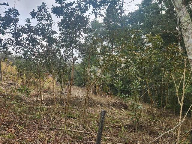 Sítio e chácara venda em Região Geográfica Imediata de Santa Cruz do Sul, Santa Cruz do Sul