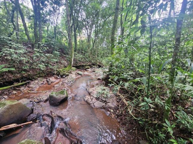 Sítio e chácara venda em Região Geográfica Imediata de Santa Cruz do Sul, Santa Cruz do Sul
