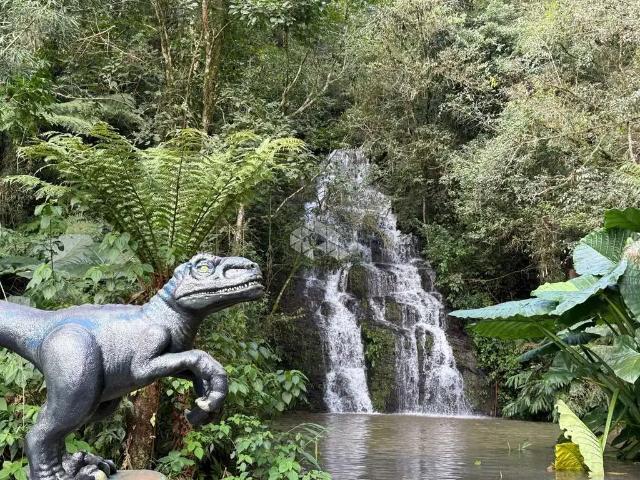 Sítio e chácara venda em Região Geográfica Imediata de Santa Cruz do Sul, Santa Cruz do Sul