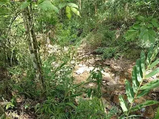 Sítio e chácara venda em Região Geográfica Imediata de Santa Cruz do Sul, Santa Cruz do Sul