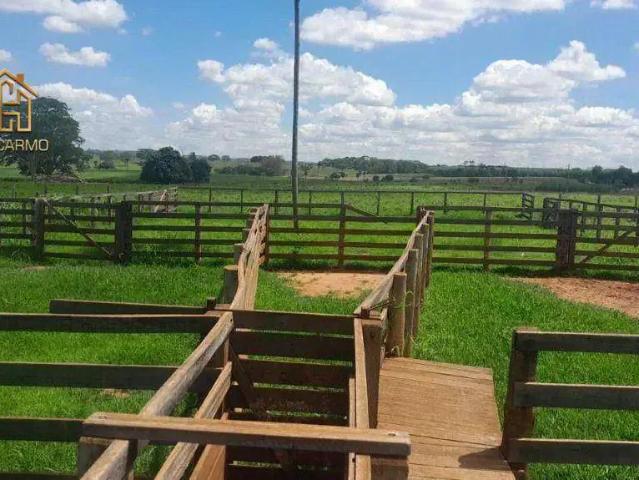 Sítio e chácara venda em Região Imediata de Santa Fé do Sul, Santa Fé do Sul