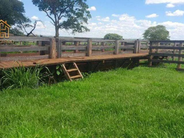 Sítio e chácara venda em Região Imediata de Santa Fé do Sul, Santa Fé do Sul