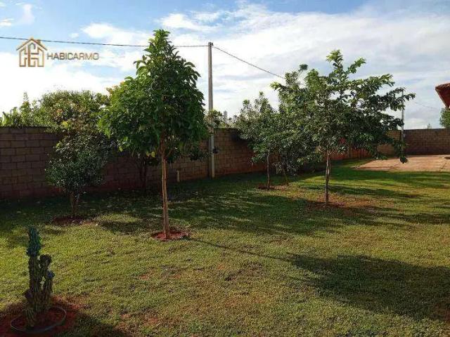 Sítio e chácara venda em Região Imediata de Santa Fé do Sul, Santa Fé do Sul