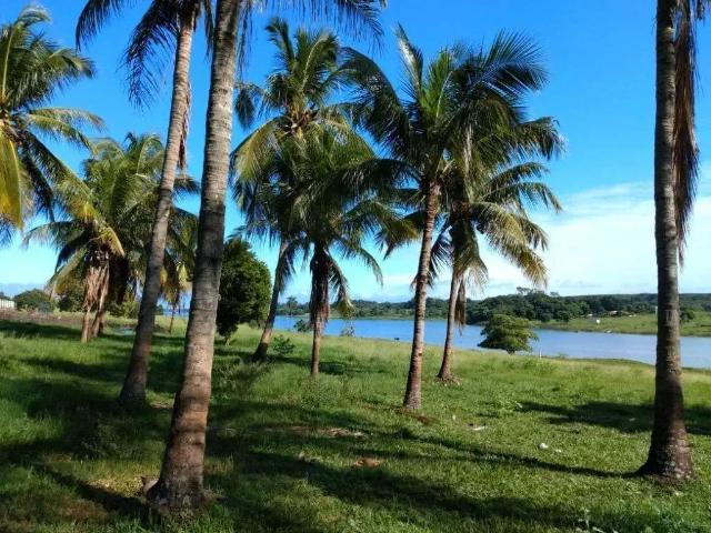 Sítio e chácara venda em Região Imediata de Santa Fé do Sul, Santa Fé do Sul