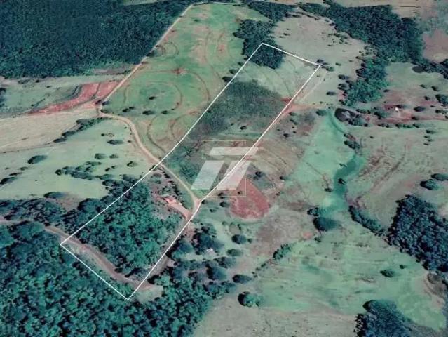 Sítio e chácara venda em Região Geográfica Imediata de Toledo, Santa Helena