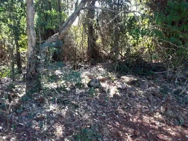 Sítio e chácara venda em Região Geográfica Imediata de Toledo, Santa Helena