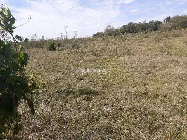 Sítio e chácara venda em Região Geográfica Imediata de Toledo, Santa Helena