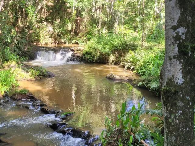Sítio e chácara venda em Região Geográfica Imediata de Loanda, Santa Isabel do Ivaí