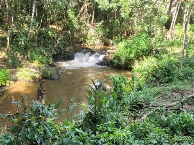Sítio e chácara venda em Região Geográfica Imediata de Loanda, Santa Isabel do Ivaí