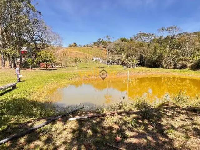 Sítio e chácara venda em Região Geográfica Imediata de Porto Alegre, Região Metropolitana de Porto Alegre