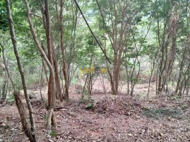 Sítio e chácara venda em Região Imediata de São Paulo, Região Metropolitana de São Paulo