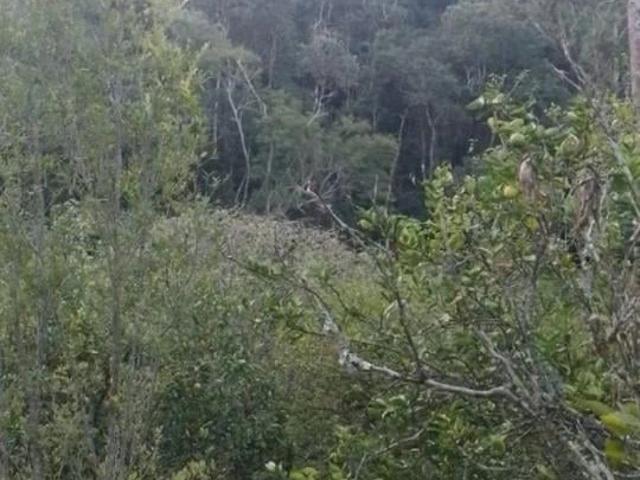 Sítio e chácara venda em Santa Isabel