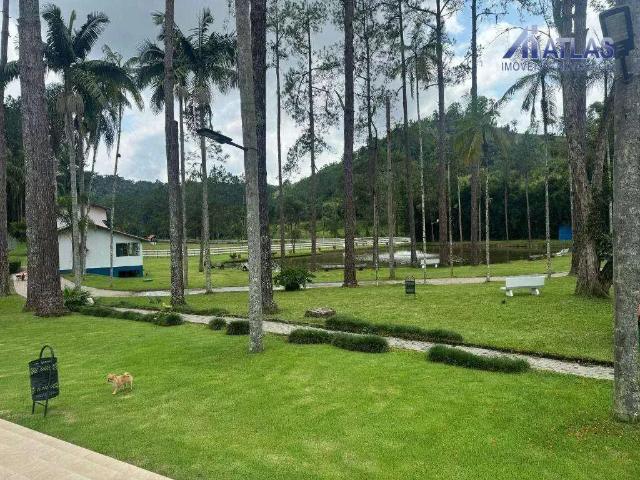 Sítio e chácara venda em Santa Isabel