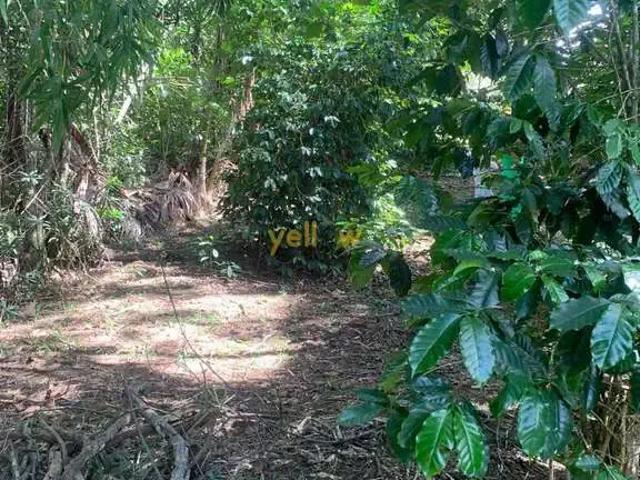 Sítio e chácara venda em Região Imediata de São Paulo, Região Metropolitana de São Paulo