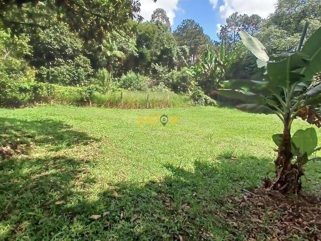 Sítio e chácara venda em Região Imediata de São Paulo, Região Metropolitana de São Paulo