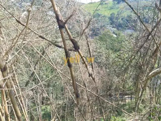 Sítio e chácara venda em Região Imediata de São Paulo, Região Metropolitana de São Paulo