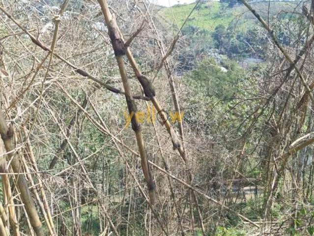 Sítio e chácara venda em Região Imediata de São Paulo, Região Metropolitana de São Paulo