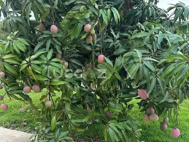 Sítio e chácara venda em Região Imediata de São Paulo, Região Metropolitana de São Paulo