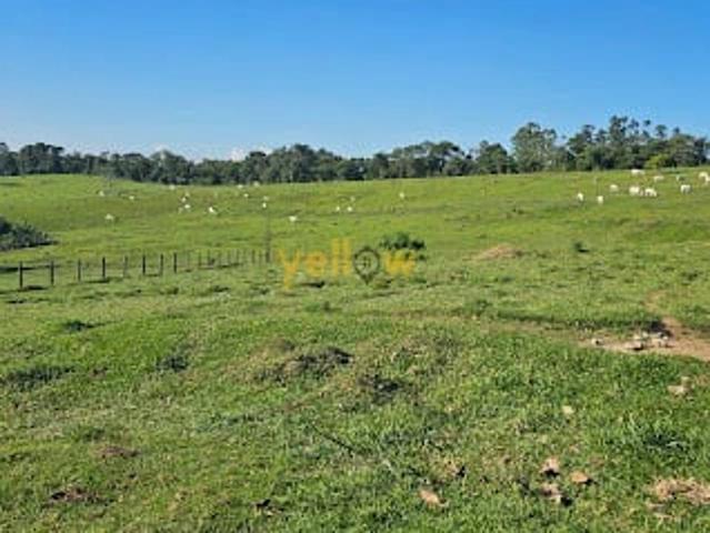 Sítio e chácara venda em Santa Isabel, Região Geográfica Intermediária de São Paulo