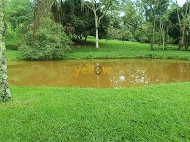 Sítio e chácara venda em Santa Isabel, Região Geográfica Intermediária de São Paulo