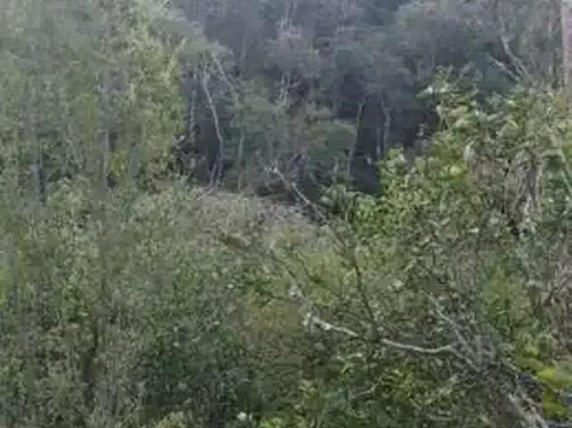 Sítio e chácara venda em Região Imediata de São Paulo, Região Metropolitana de São Paulo