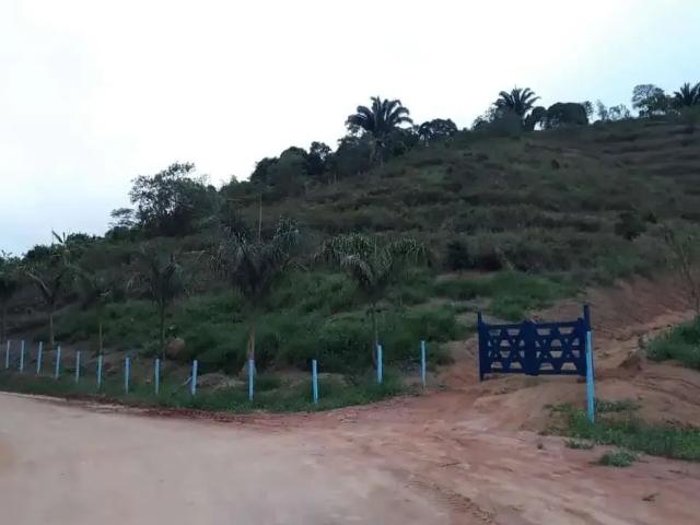 Sítio e chácara venda em Nova Venécia, Região Sudeste