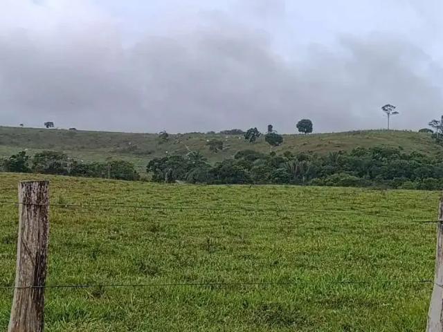 Sítio e chácara venda em Região Geográfica Imediata de Camacan, Região Nordeste