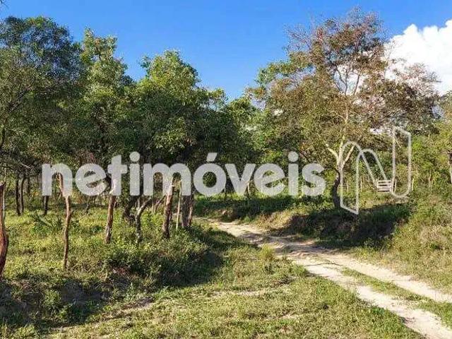 Sítio e chácara venda em Região Geográfica Imediata de Belo Horizonte, Região Metropolitana de Belo Horizonte