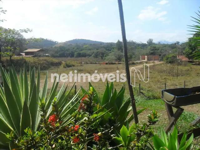 Sítio e chácara venda em Bom Jesus, Santa Luzia
