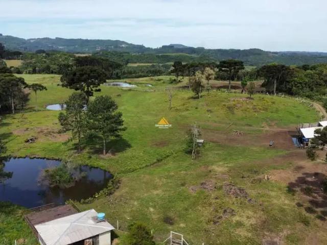 Sítio e chácara venda em Região Geográfica Imediata de Novo Hamburgo - São Leopoldo, Santa Maria do Herval