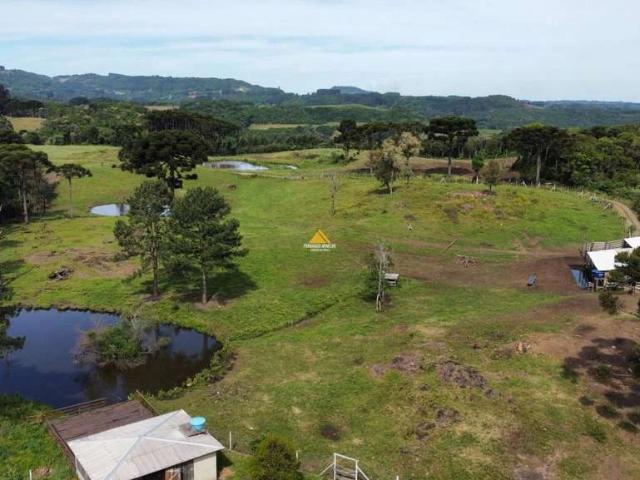 Sítio e chácara venda em Região Geográfica Imediata de Novo Hamburgo - São Leopoldo, Santa Maria do Herval