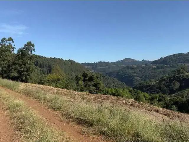 Sítio e chácara venda em Região Geográfica Imediata de Novo Hamburgo - São Leopoldo, Santa Maria do Herval